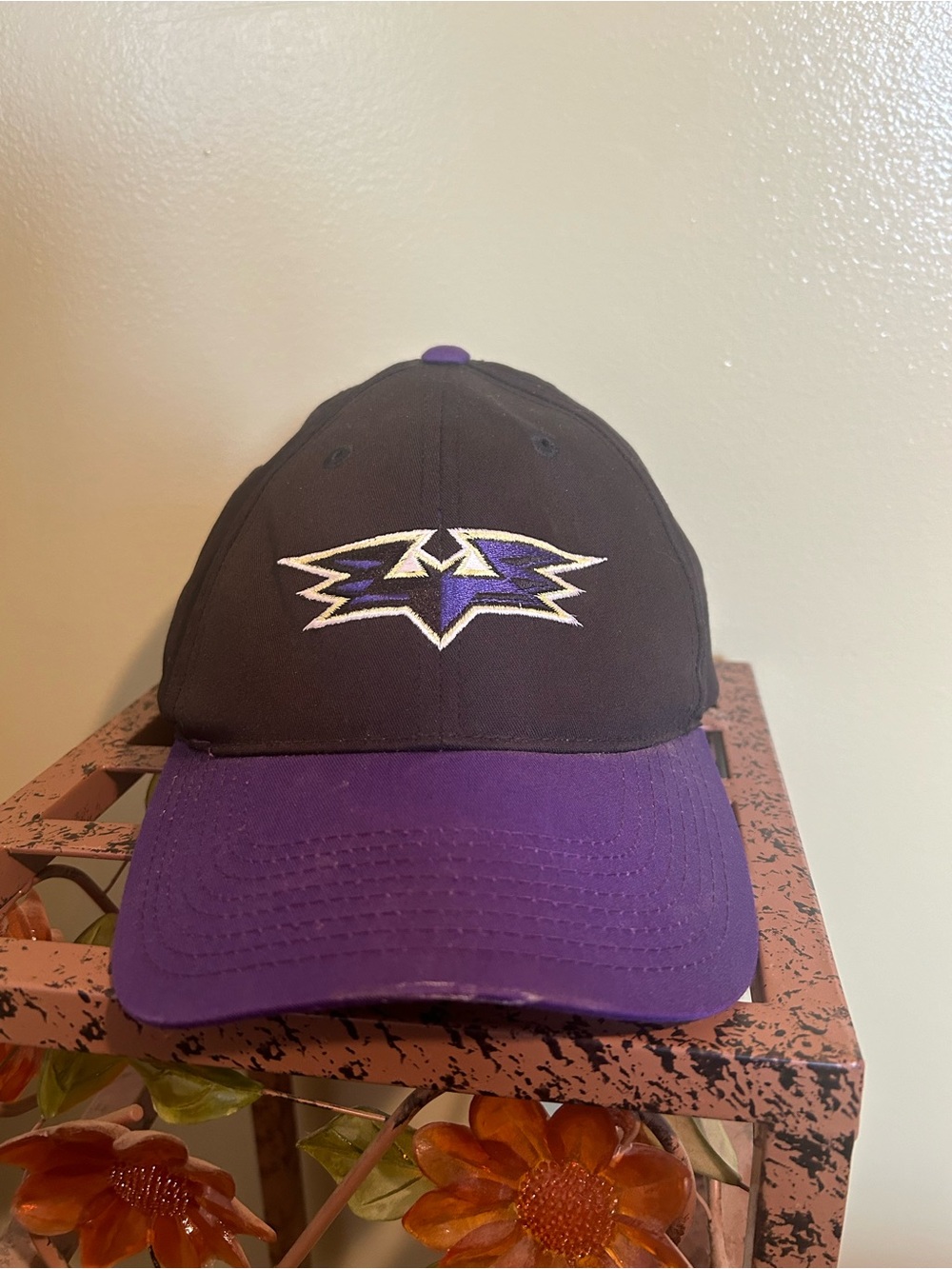 Louisville Bats Hat OC Sports MiLB Minor League Baseball Cap Purple Black Velcro
